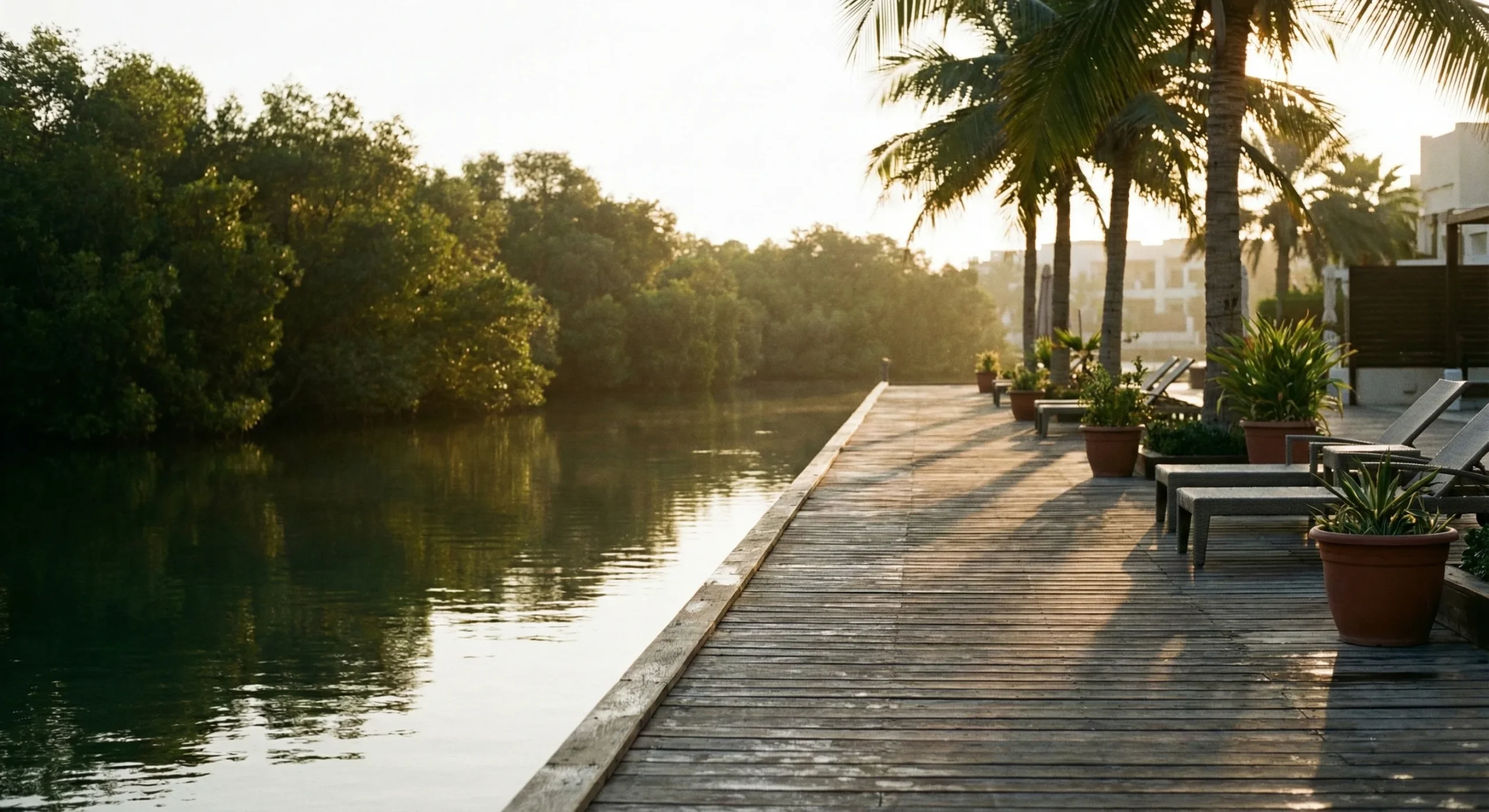 Lagoon boardwalk near mangroves in Mina Al Arab